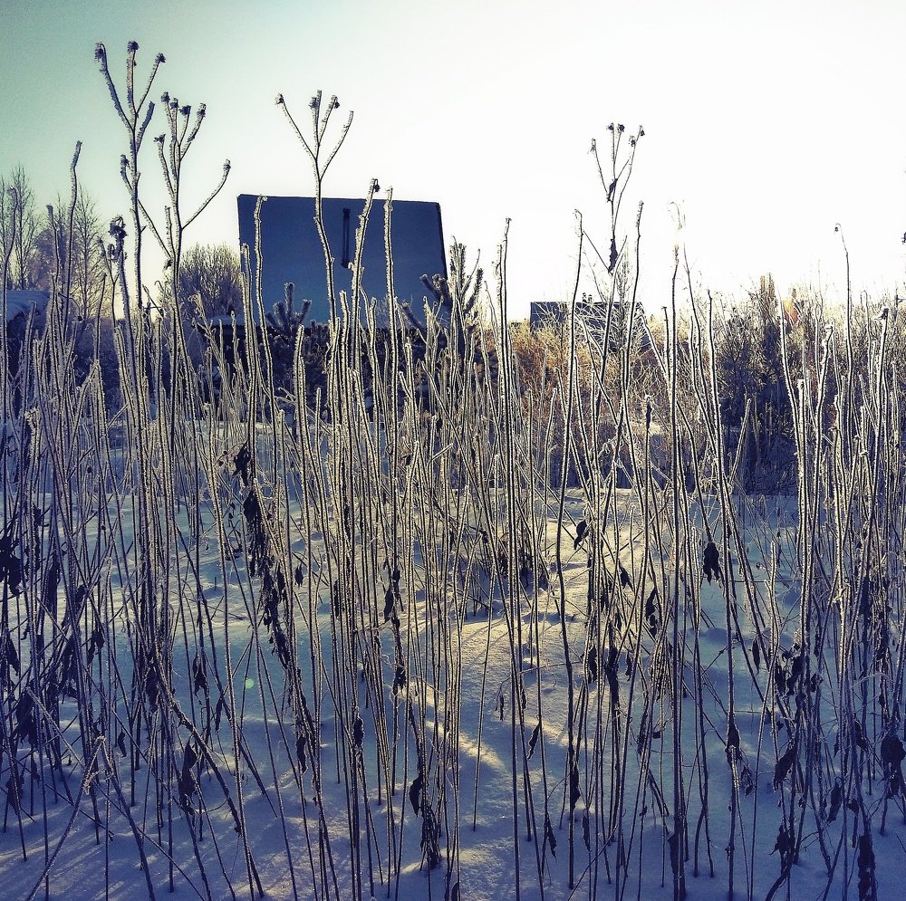 Photograph by Галина Гончарова