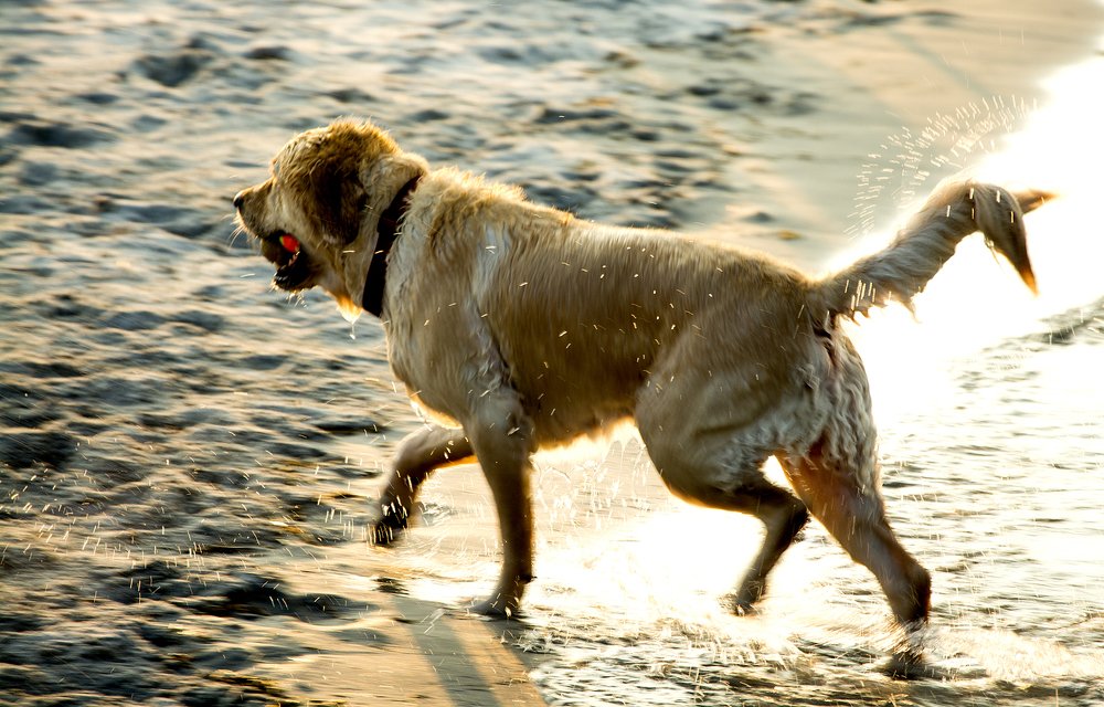 Photograph by Alex Galkin