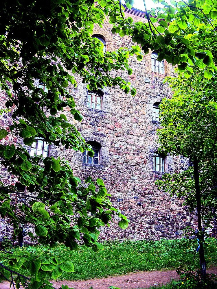 Photograph by Галина Гончарова