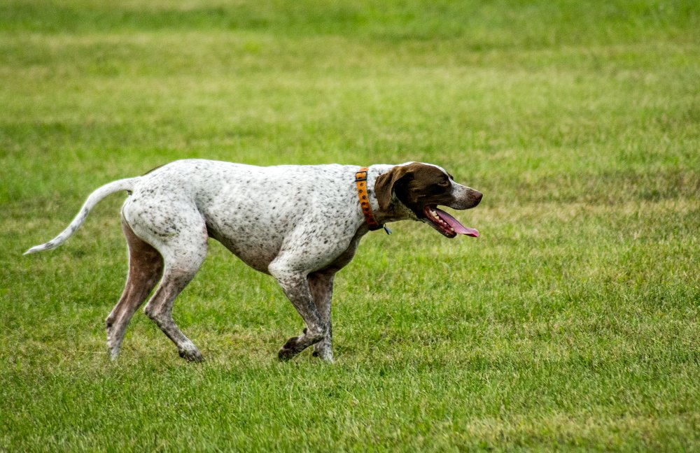 Photograph by Alex Galkin