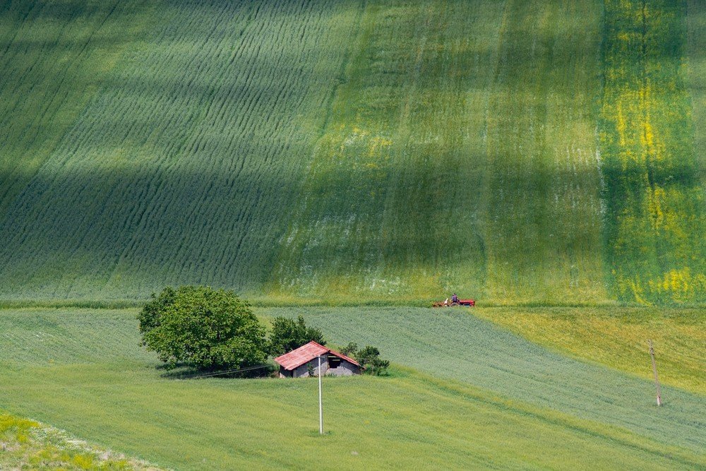 Photograph by Ivan Stojanovic