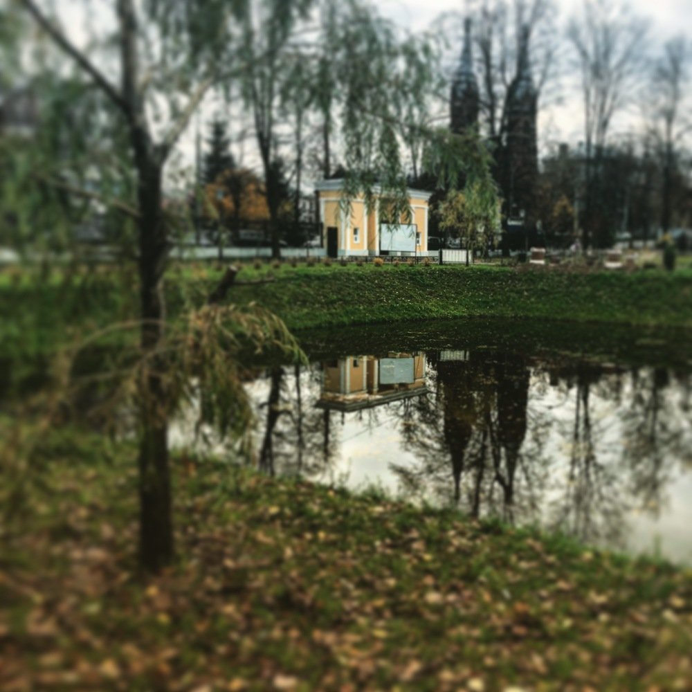 Photograph by Ксения Черных