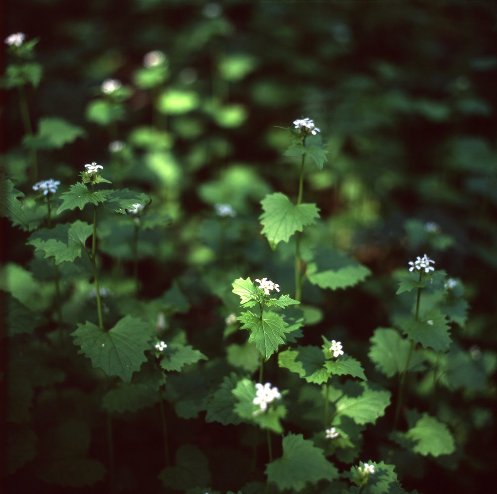 Photograph by Матвей Кармаков