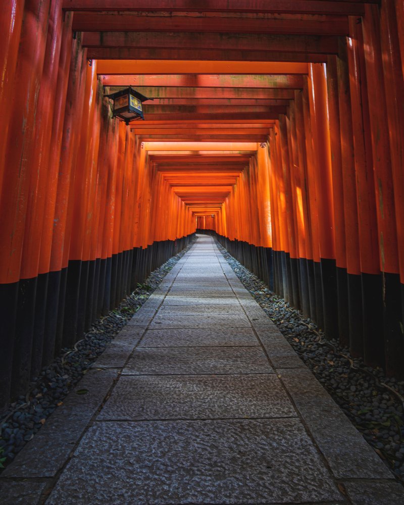 A Journey through a thousand gates...