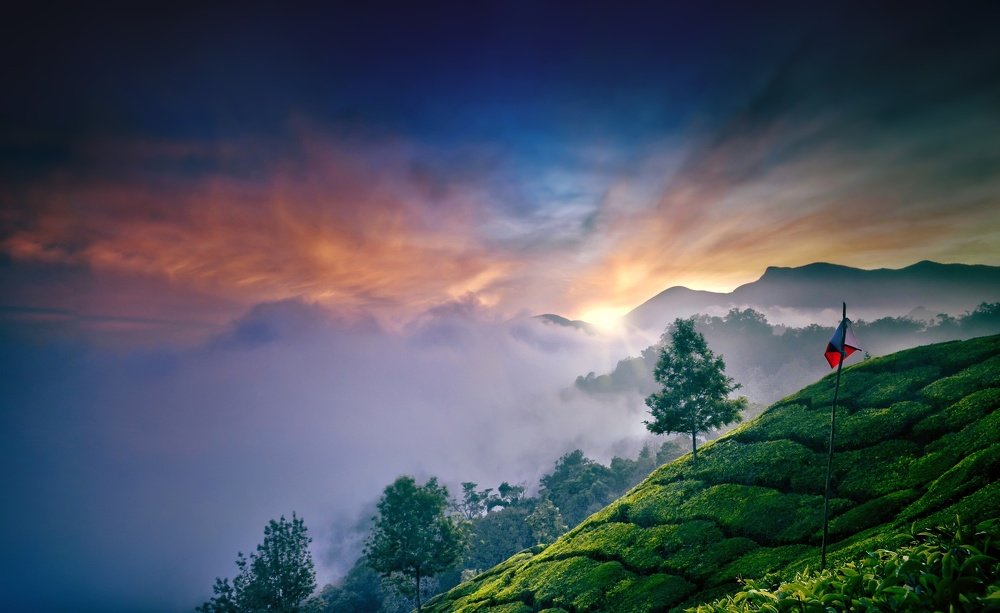 Photograph by Mainak Saha