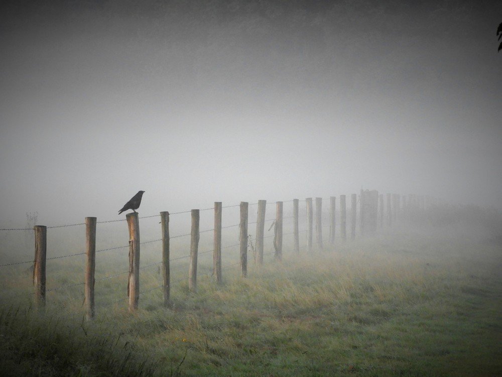 Photograph by Tim De Keirsmaeker