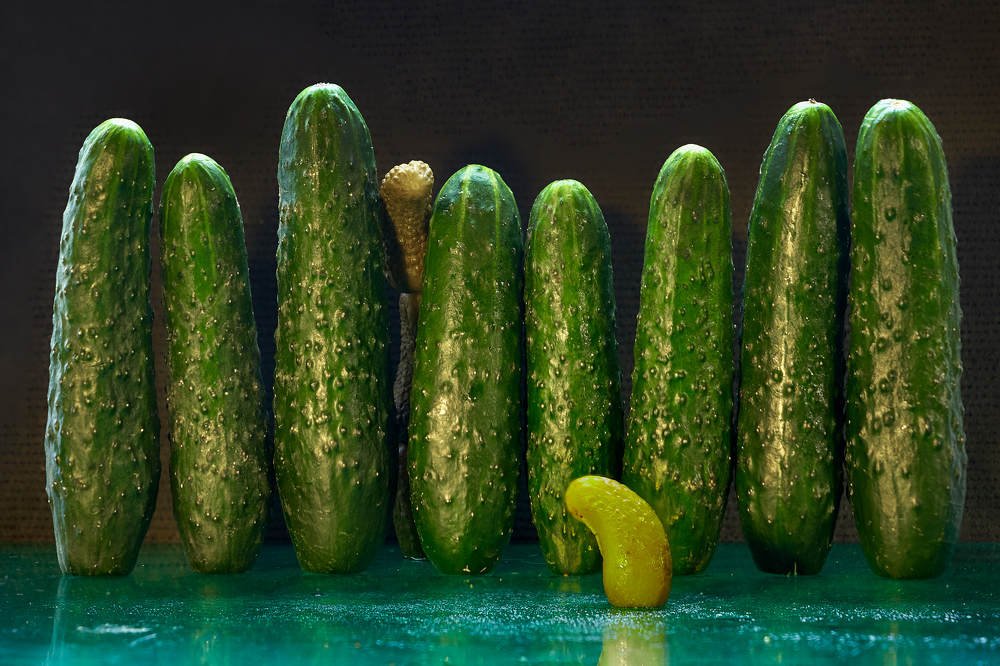 Photograph by Владимир