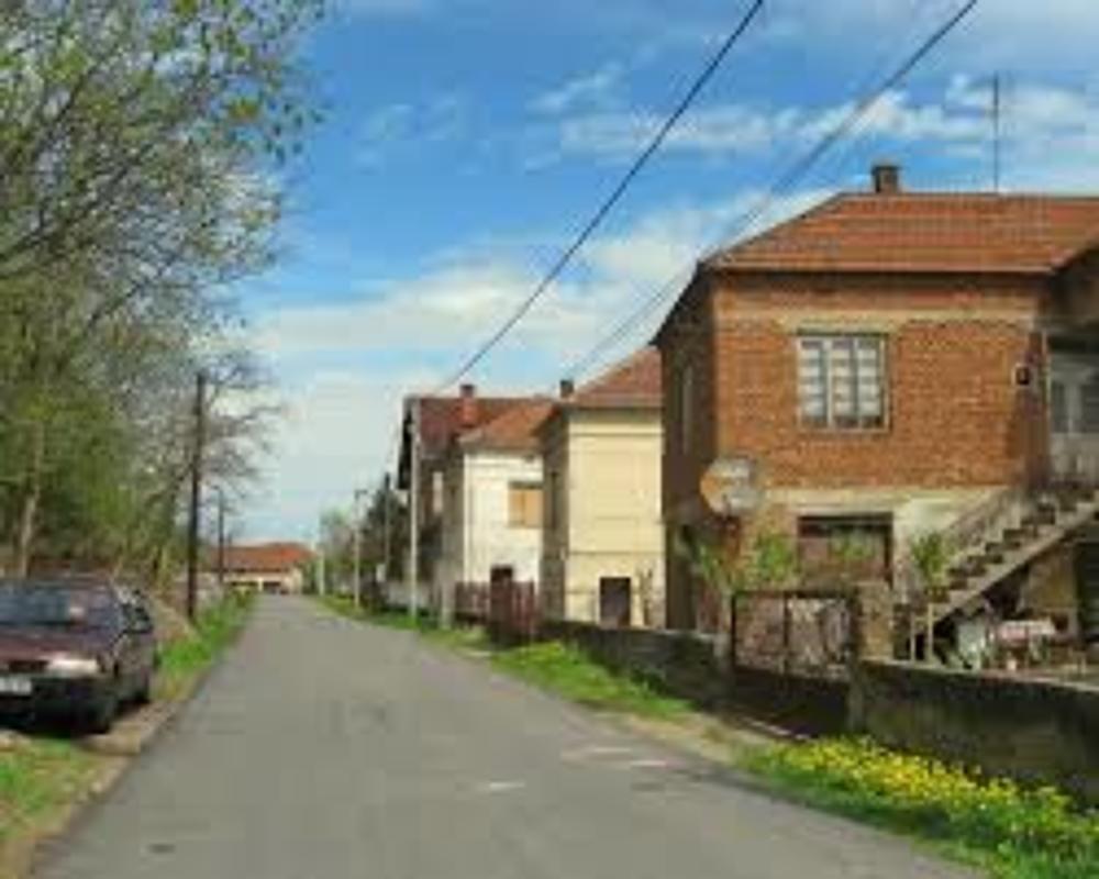 Фотография автора zivka ivanovic