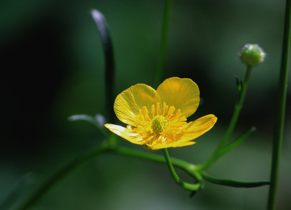 Photograph by Зоя Быкова