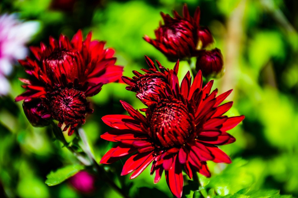 Photograph by Елена Прохорова