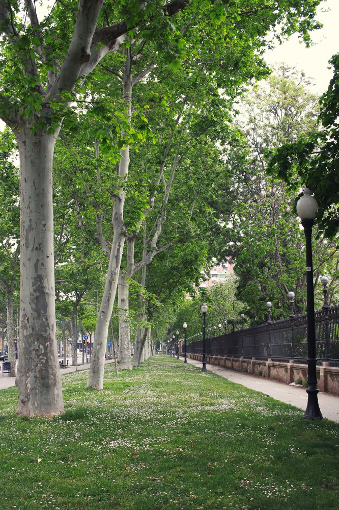 Photograph by Ирина Кононова