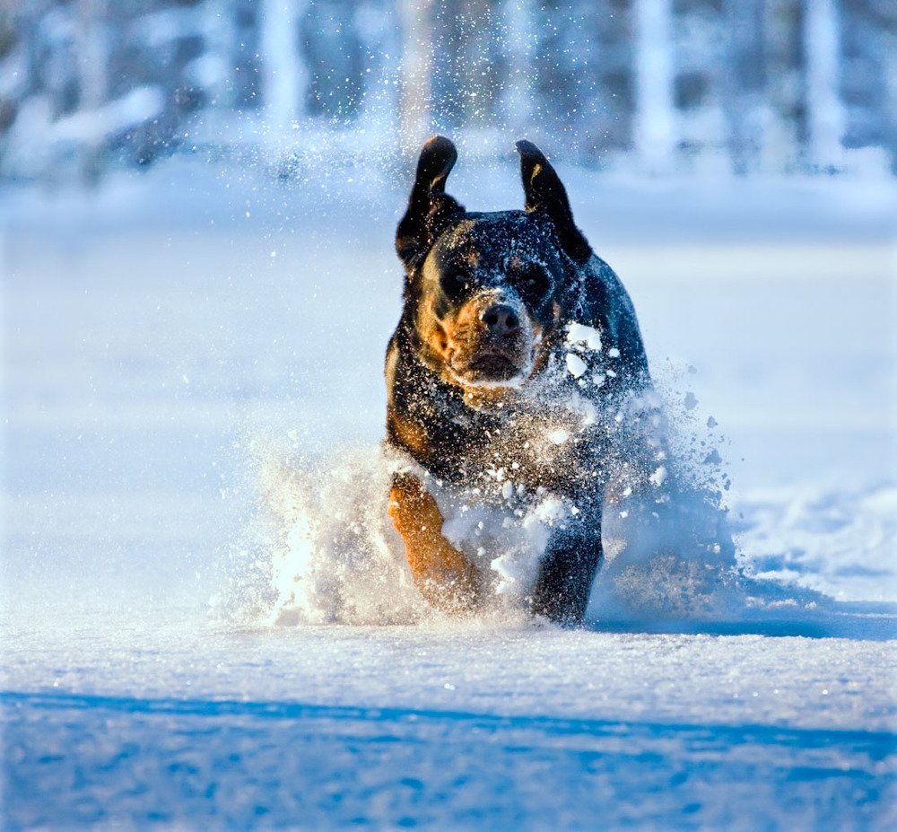 Photograph by Татьяна Макотра