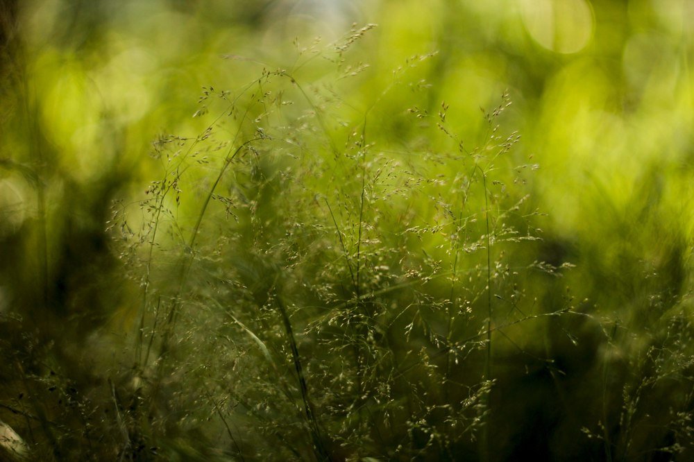 Photograph by Владимир Игошин