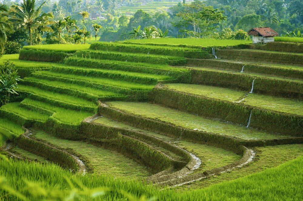 Photograph by Pepi Perdiansyah