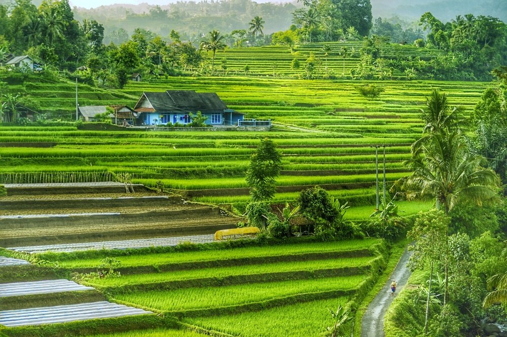 Photograph by Pepi Perdiansyah