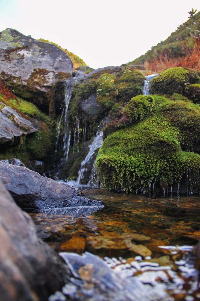 Золотая осень