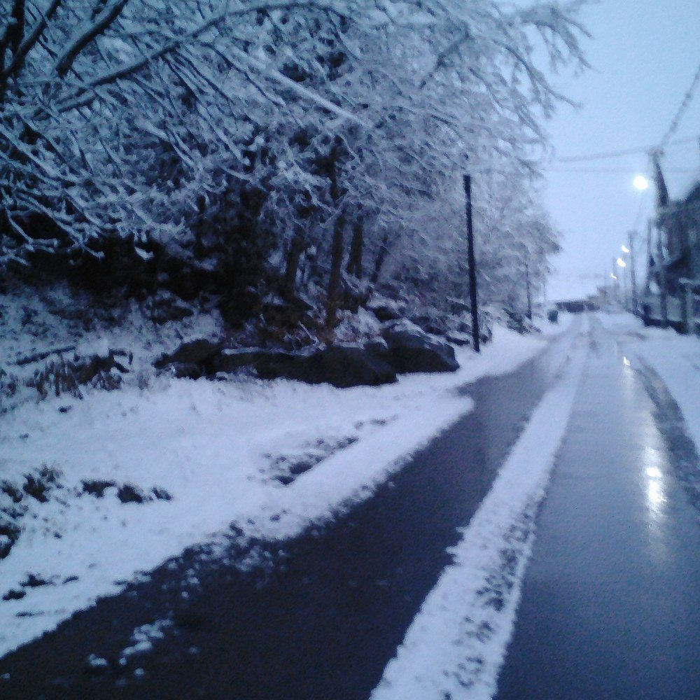 Фотография автора zivka ivanovic