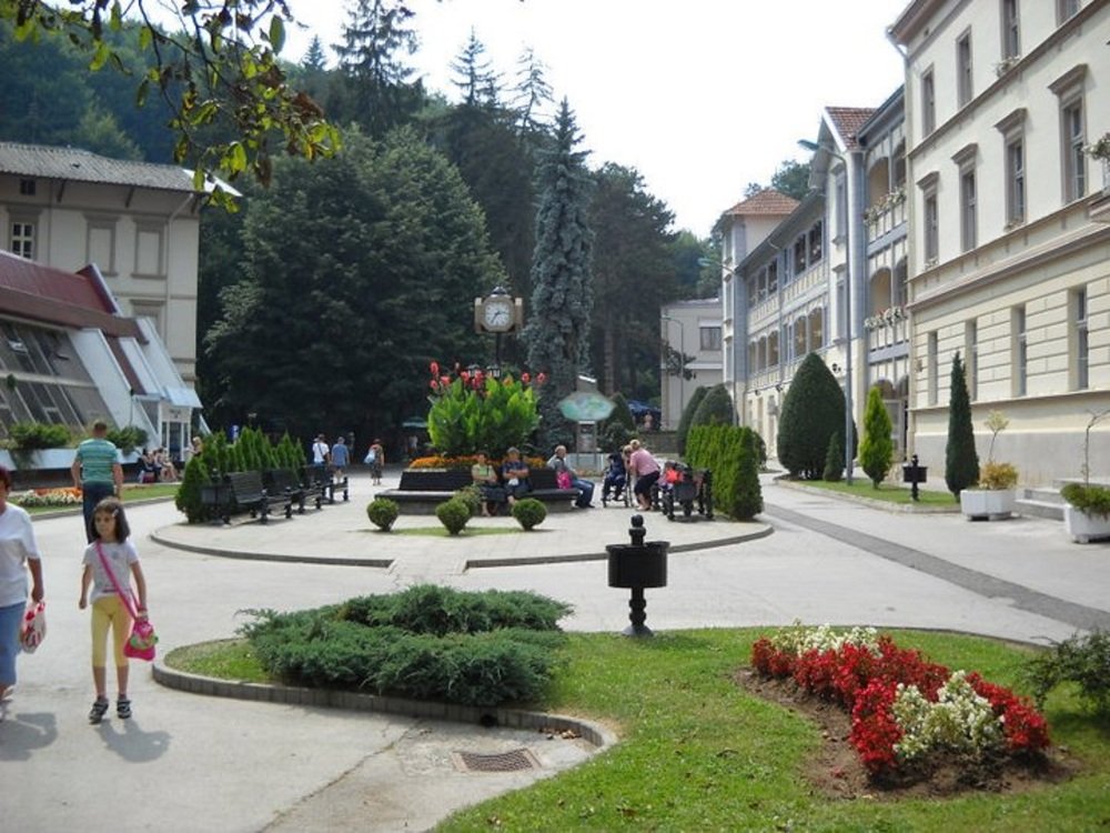 Фотография автора zivka ivanovic