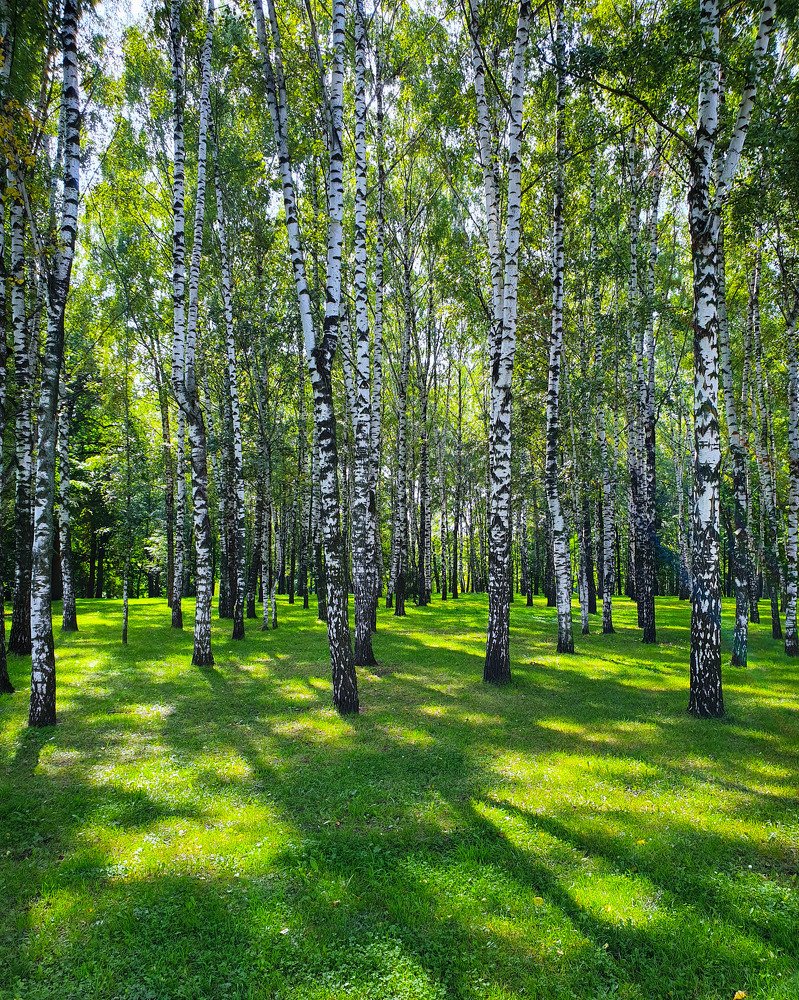 Photograph by Сергей Мороз