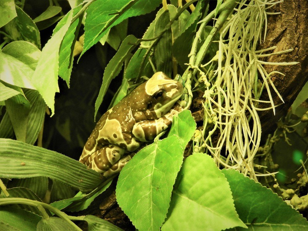 Photograph by Tim De Keirsmaeker