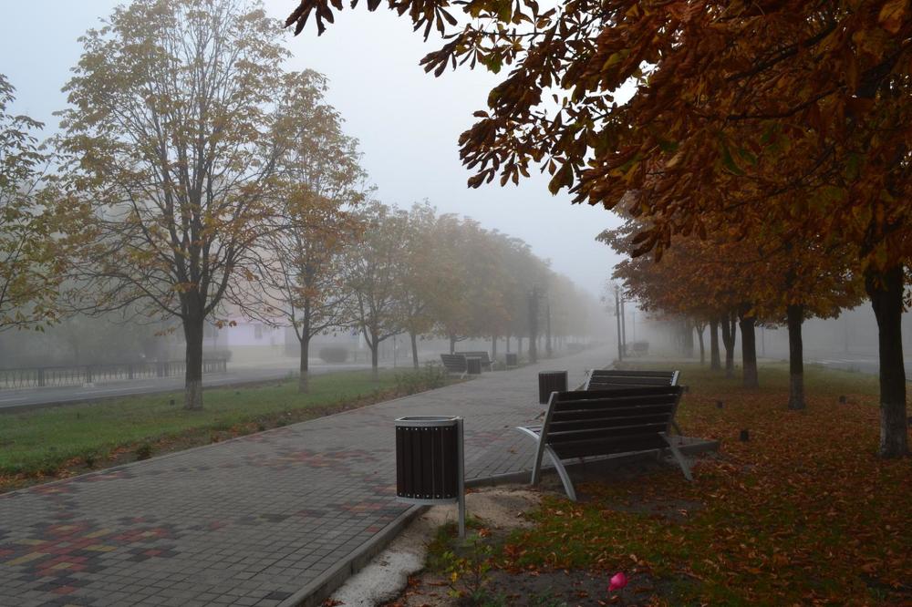 Туманная аллея