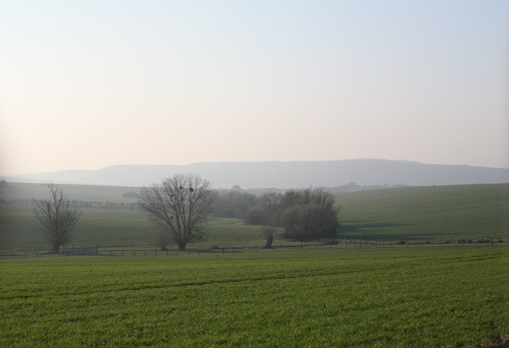 Photograph by OSSETROVA Eugeniya