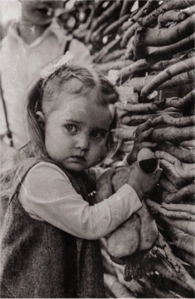 Photograph by Анастасия Щебетун