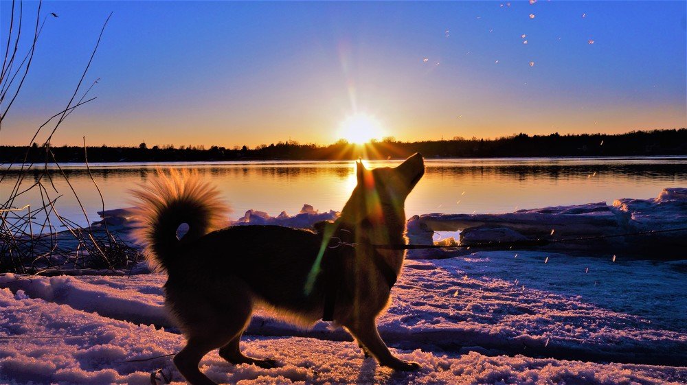 Звездочка Кассиопея - а во лбу звезда горит, звезда по имени Солнце!