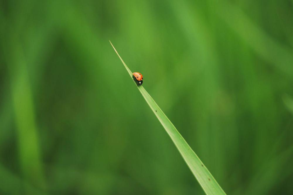 Photograph by Анна Миллер