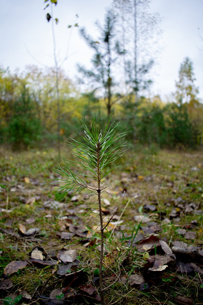 Photograph by Даниил Байбародских