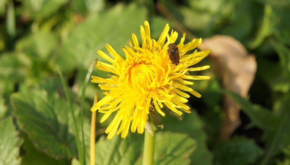 Photograph by Екатерина Апрелева