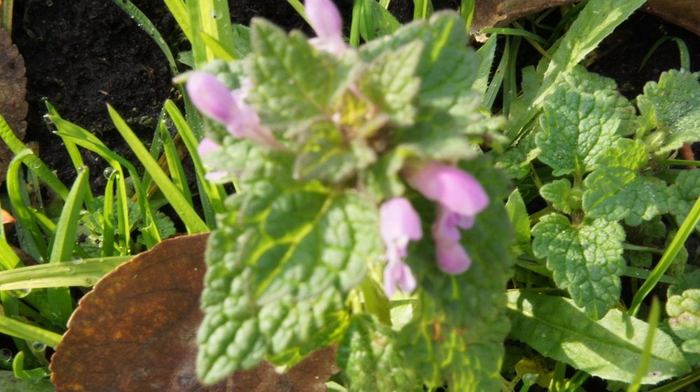 Photograph by Екатерина Апрелева