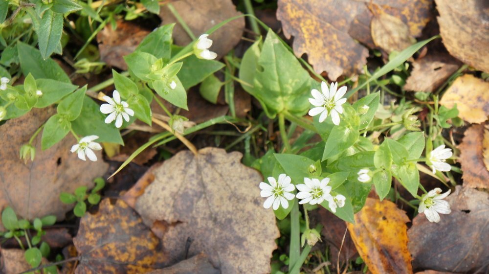 Photograph by Екатерина Апрелева