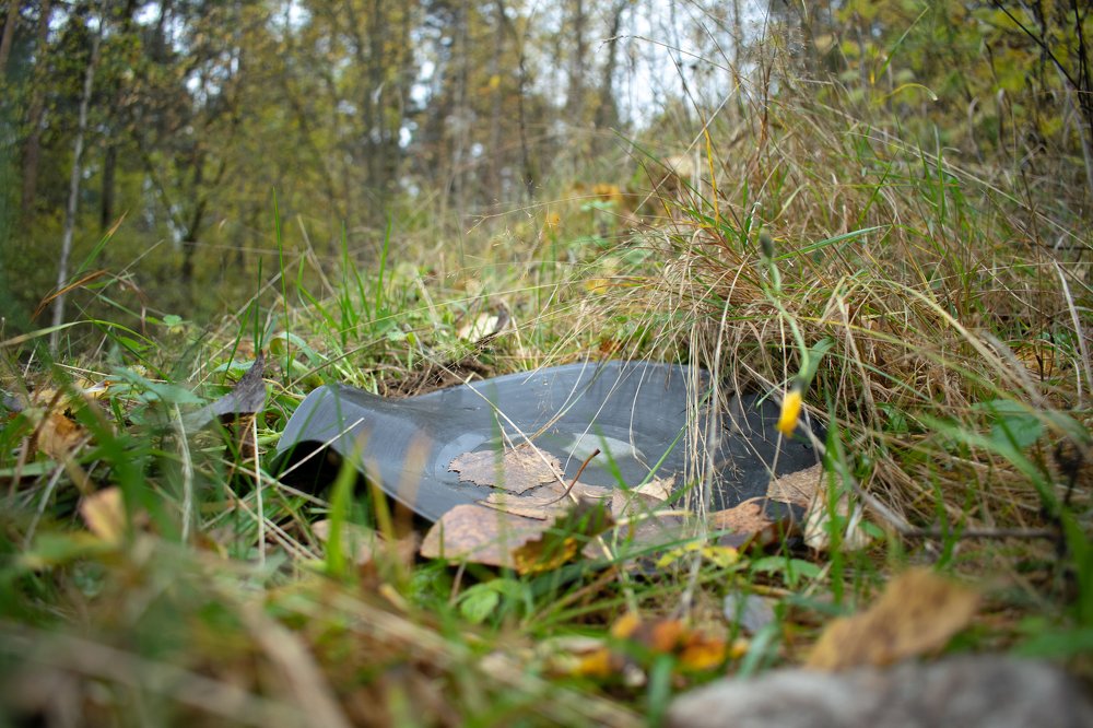 Photograph by Даниил Байбародских