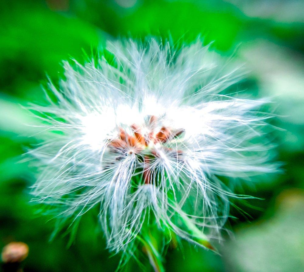 Photograph by Sumit biswas