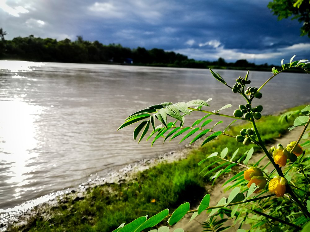 Photograph by Sumit biswas