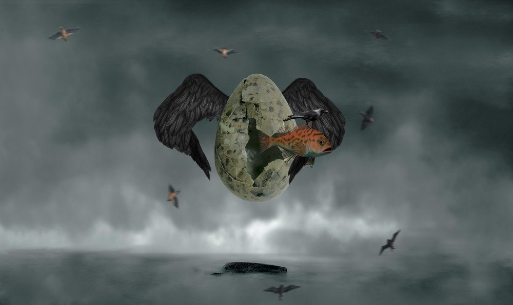 Фотография автора arabzadeh hossein