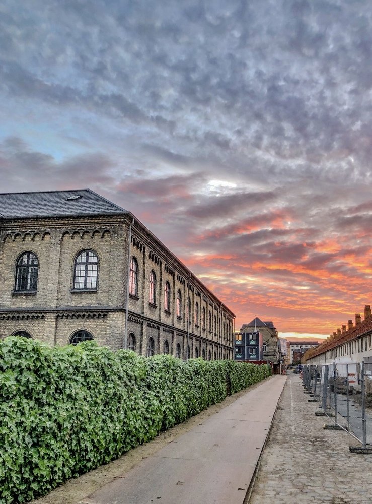The sunset in the Copenhagen