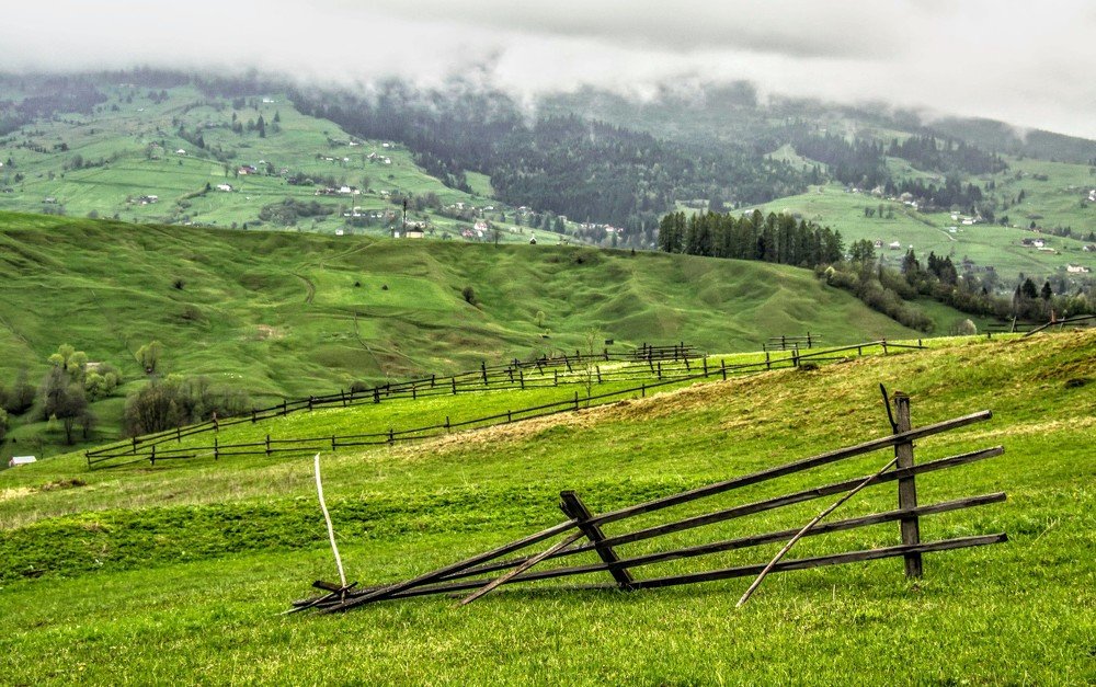 Photograph by Елена Боржковская