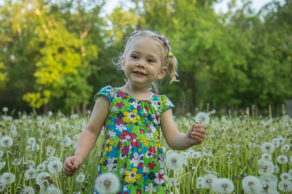 Сибирское лето