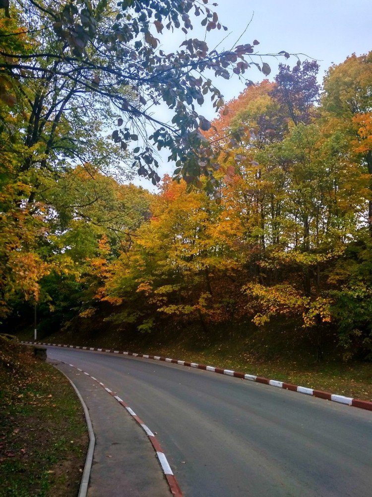 Photograph by Наталья Манусова