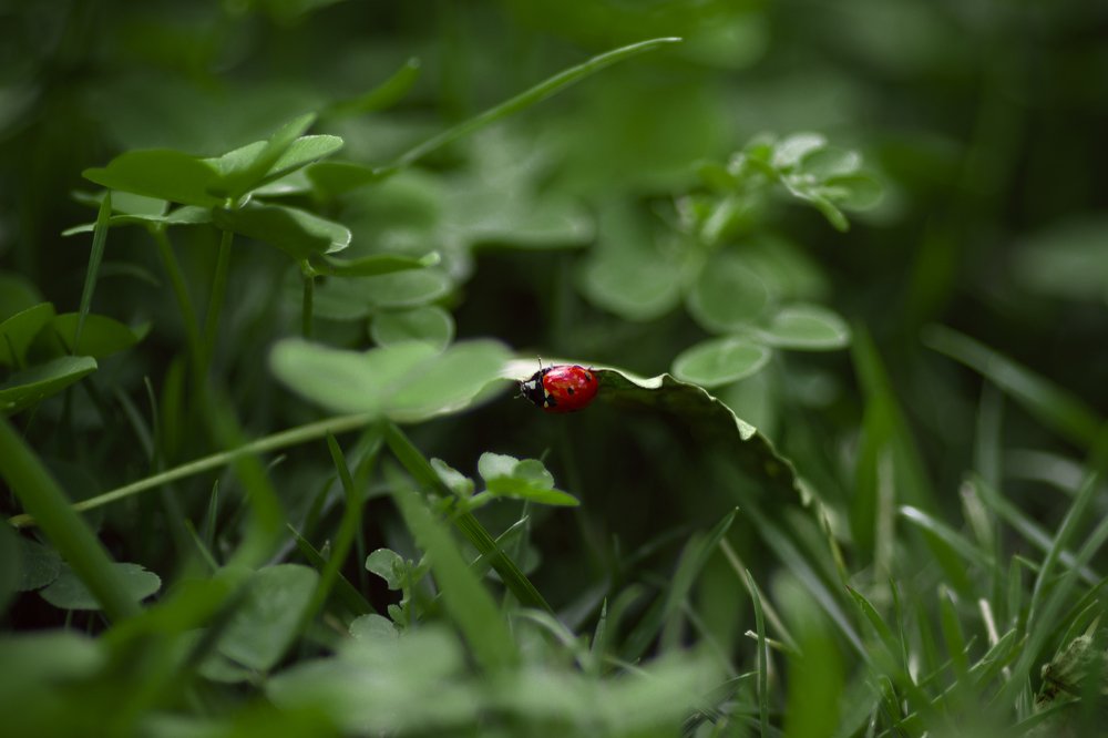 Photograph by Михаил Шпирко