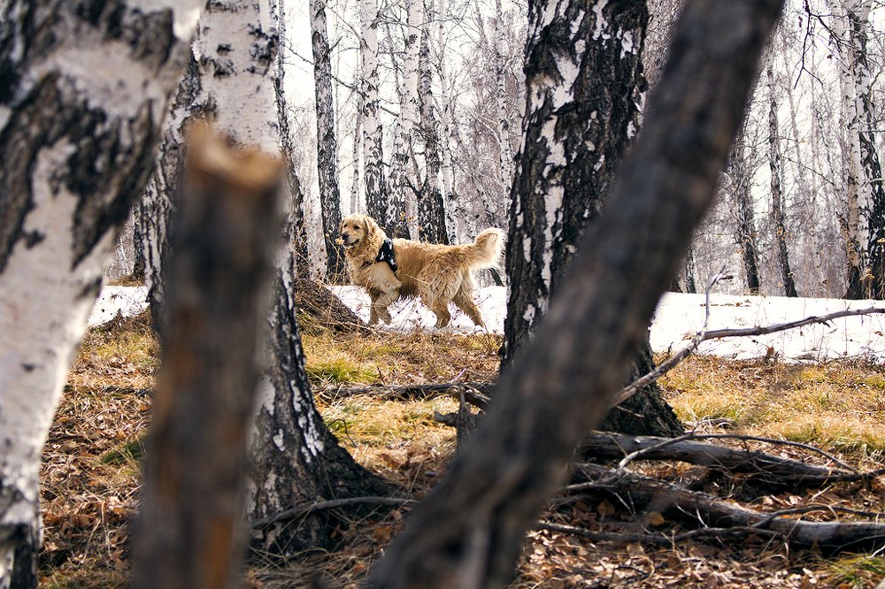 Так, куда бы мне направиться?