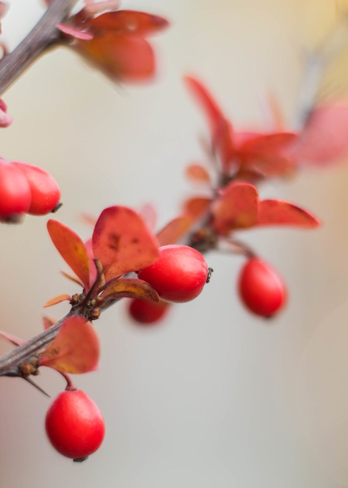 Photograph by Татьяна Моисеева