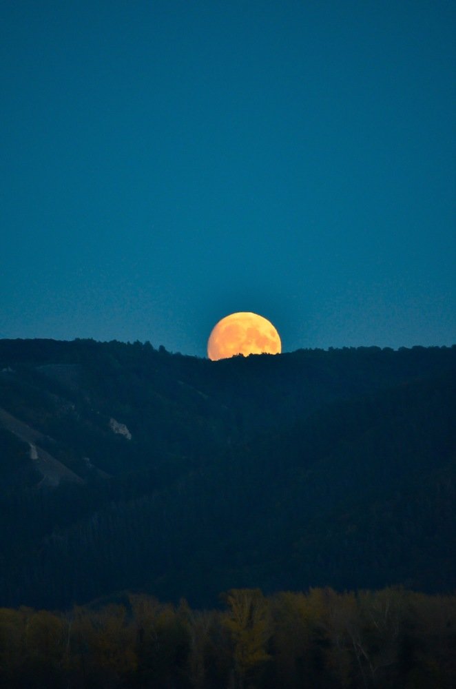 Photograph by Денис Белов