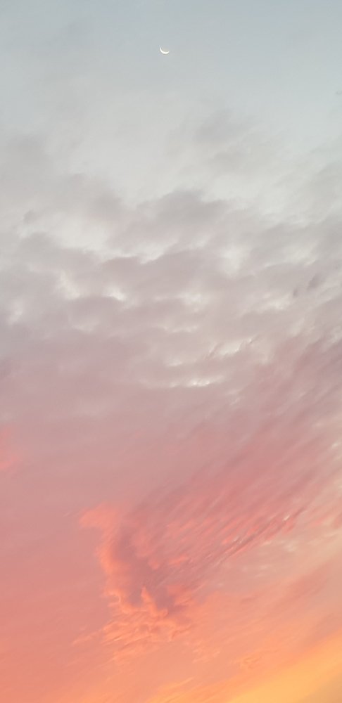 Photograph by Elisabeth Vinther