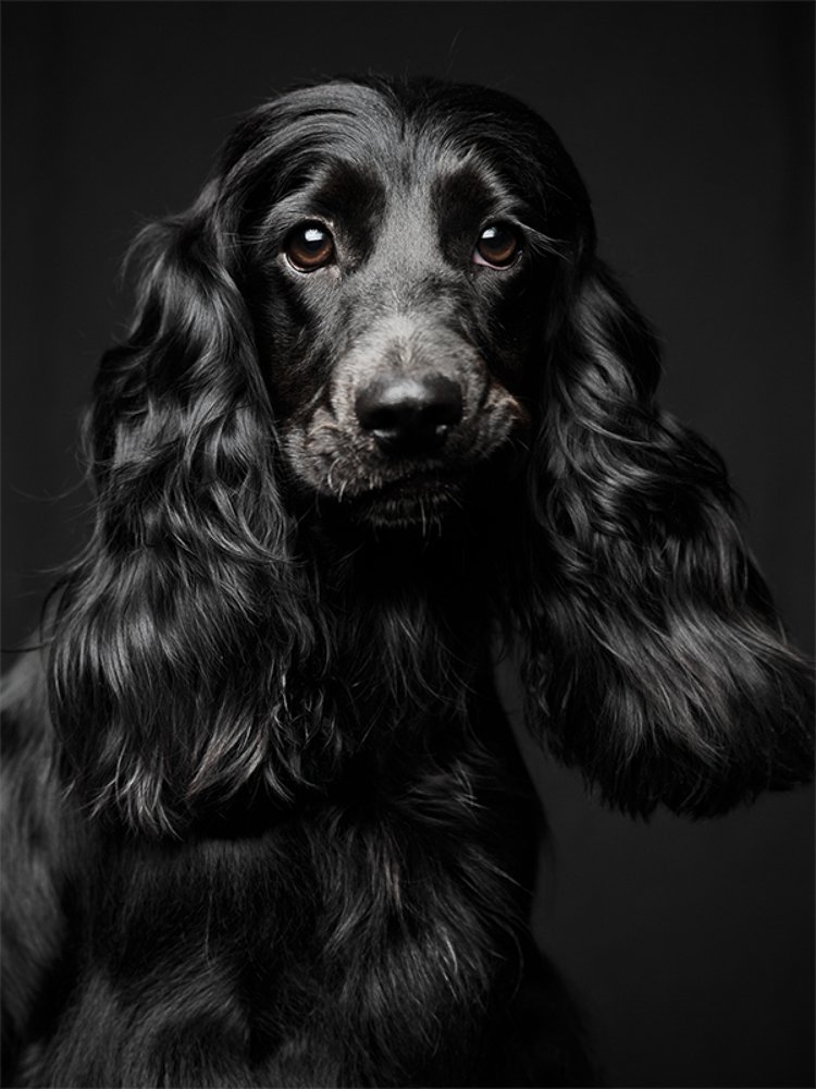 Photograph by Svet Lana