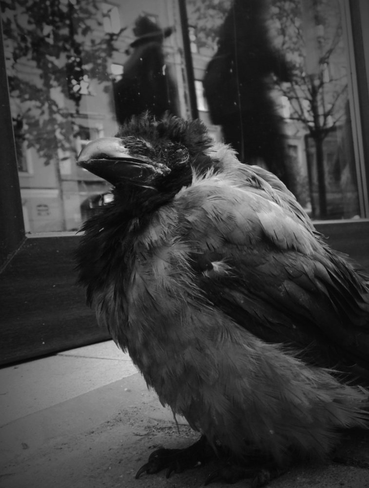 Photograph by Марина Хохрякова