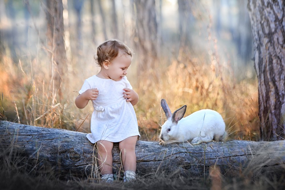 Photograph by Надежда Заручевская