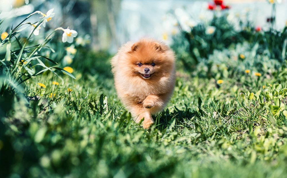 Photograph by Kristina Shavratskaya